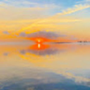 Meet your Posher, Bella